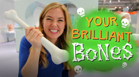 Your Brilliant Bones!