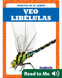 Veo libélulas (I See Dragonflies)