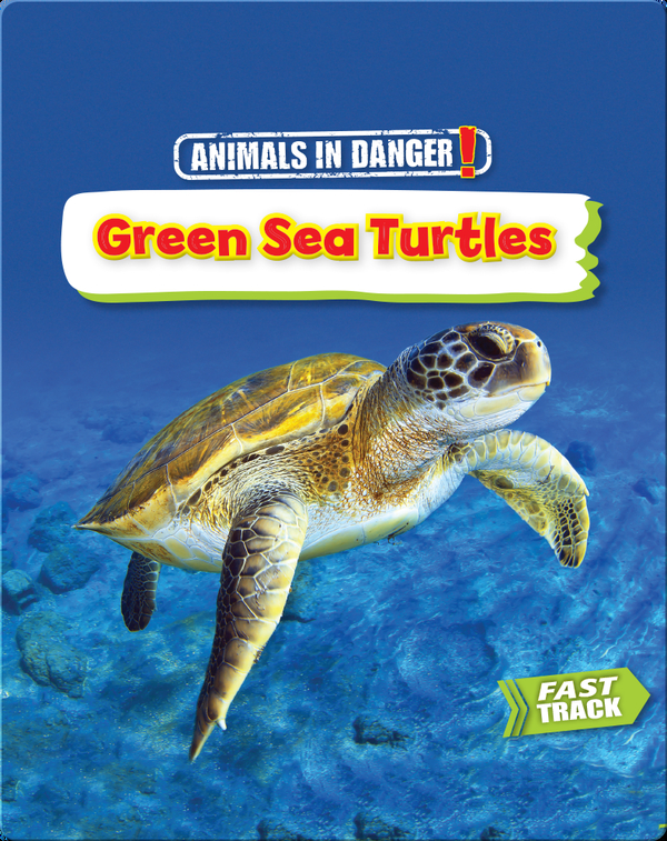 Animals in Danger: Green Sea Turtles