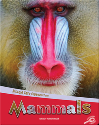 Animals Have Classes Too!: Mammals