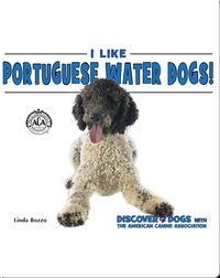 I Like Portugese Water Dogs!