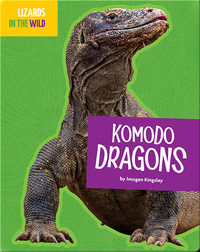 Lizards In The Wild: Komodo Dragons