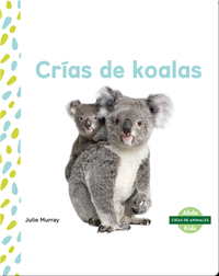 Crías de koalas