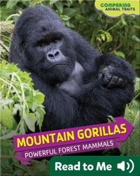Mountain Gorillas: Powerful Forest Mammals