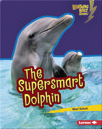 The Supersmart Dolphin