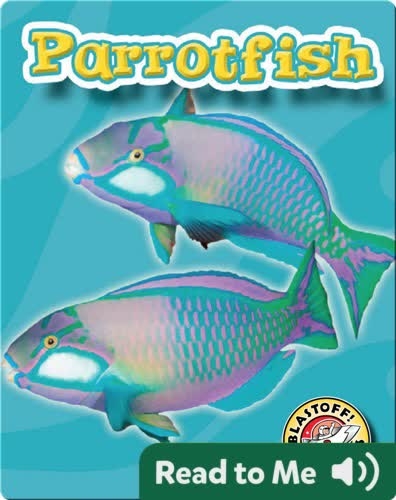 Parrotfish: Oceans Alive