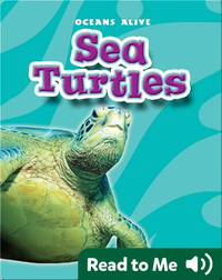 Sea Turtles: Oceans Alive