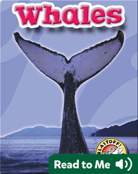 Whales: Oceans Alive