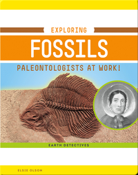 Exploring Fossils: Paleontologists at Work!