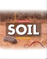 Looking at Layers: Looking Into Soil