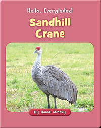 Hello, Everglades!: Sandhill Crane