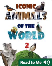 Iconic Animals of the World 2