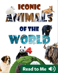 Iconic Animals of the World 4