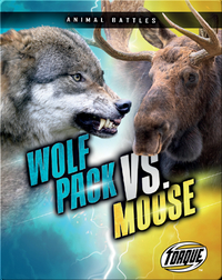 Animal Battles: Wolf Pack vs. Moose