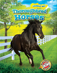 Saddle Up!: Thoroughbred Horses