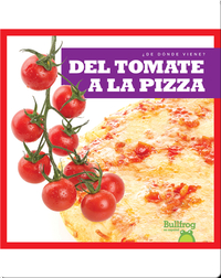 Del tomate a la pizza (From Vine to Pizza)