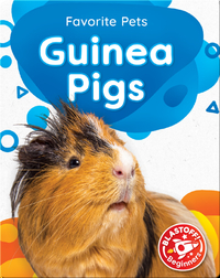 Favorite Pets: Guinea Pigs
