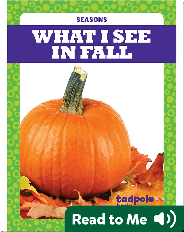 Seasons: What I See in Fall