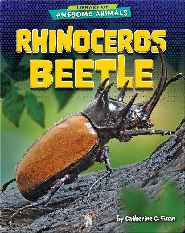 Awesome Animals: Rhinoceros Beetle