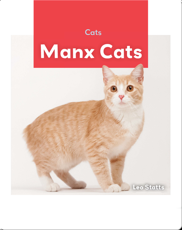 Cats: Manx Cats