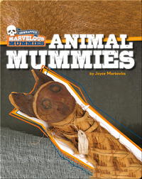 Marvelous Mummies: Animal Mummies