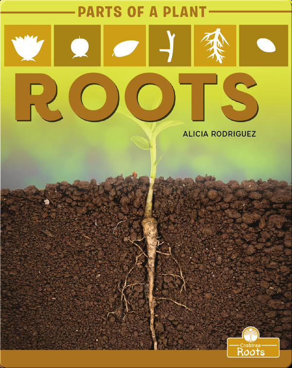 Parts of a Plant: Roots