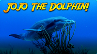 Jonathan Bird's Blue World: Searching for Jojo the Dolphin
