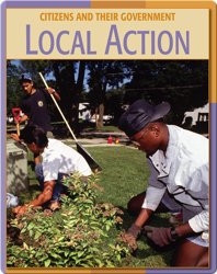 Citizens And Their Governments: Local Action