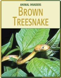 Animal Invaders: Brown Treesnake