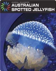 Animal Invaders: Australian Spotted Jellyfish