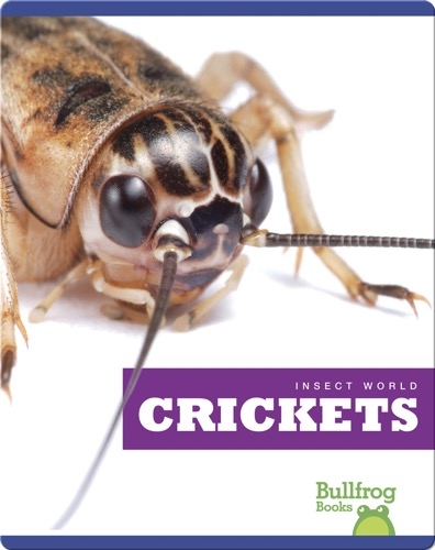 Insect World: Crickets