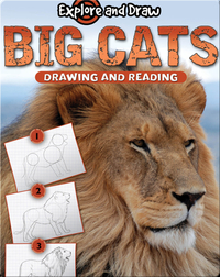 Explore And Draw: Big Cats