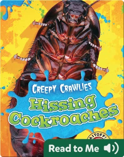Creepy Crawlies: Hissing Cockroaches