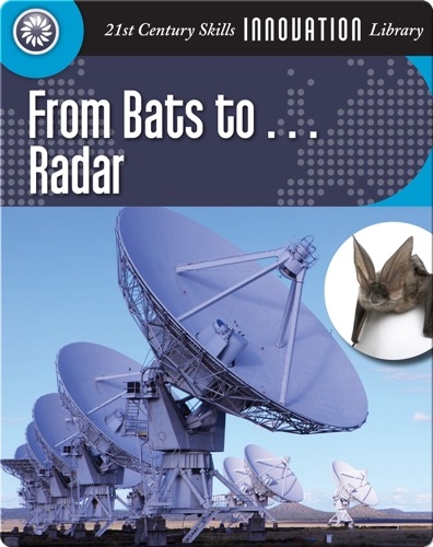 From Bats to... Radar