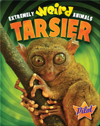 Extremely Weird Animals: Tarsier