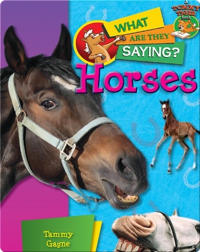 Horses: What Are They Saying?