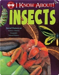I Know About! Insects