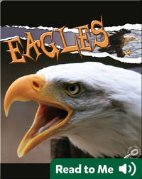 Raptors: Eagles