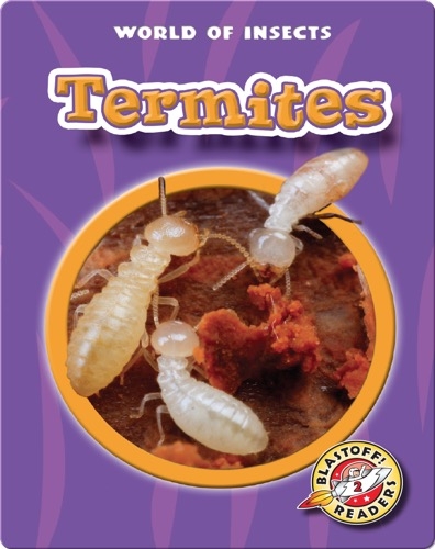World of Insects: Termites