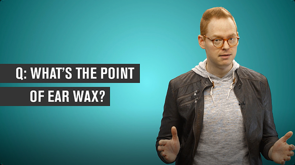 What's the Point of Ear Wax?