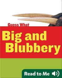 Big and Blubbery