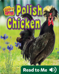 Polish Chicken