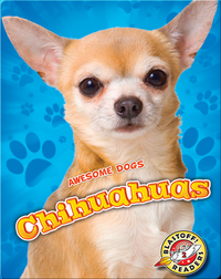 Awesome Dogs: Chihuahuas