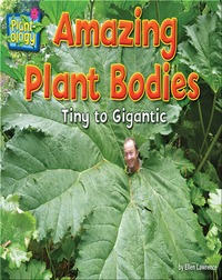 Amazing Plant Bodies: Tiny to Gigantic