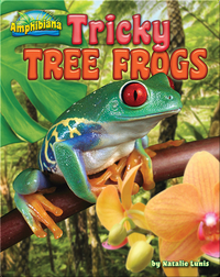 Tricky Tree Frogs