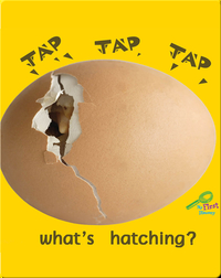 Tap, Tap, Tap… What's Hatching?
