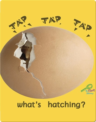 Tap, Tap, Tap… What's Hatching?