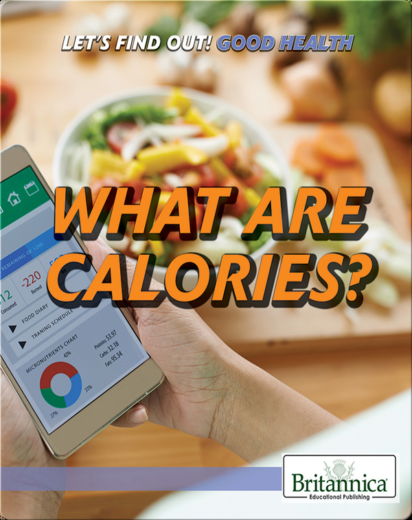 What Are Calories?