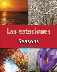 Las Estaciones  (Seasons)
