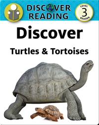 Discover Turtles & Tortoises